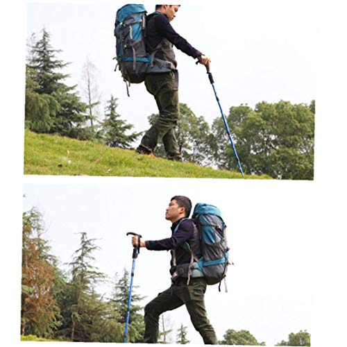 Caminando Bastones Bastones De Trekking Al Aire Libre Senderismo Bastones T Tipo 4 Ligera Sección Ajustable Bastones De Trekking para Mujeres Y Hombres Azul