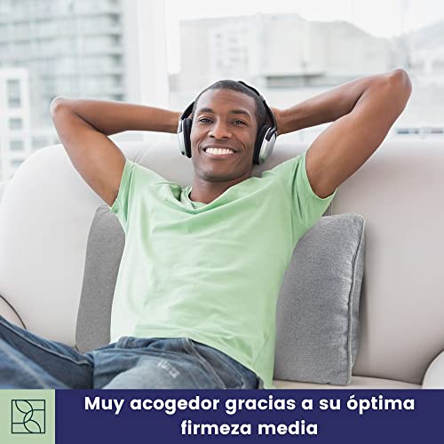 Cojin Sofa con Relleno Incluido 40x70, Funda Suave de algodón Oeko-Tex - Cómodo cojin Respaldo Sofa con Relleno de dureza Media - Cojin Sofa Grande - Cojines Decorativos para Sofa de DYNMC YOU - Gris