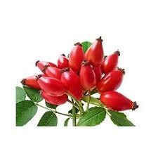 Crema con aceite puro de rosa mosqueta 70 ml Tratamiento de estrías y cicatrices para el cuerpo, excelente crema facial antiacné. Acción regeneradora para un suave, suave y sin marcas