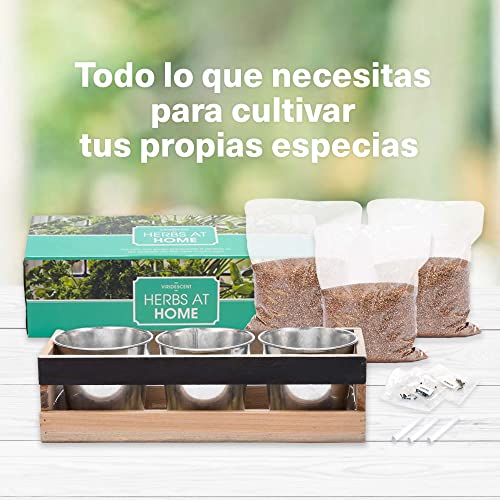 Huerto en Casa / Huerto Interior - Kit de Cultivo Interior - Huerto Domestico Interior - 3 Macetas Reutilizables,Caja Jardinera Madera, Bandeja, Semillas, Pizarra y Tiza -Viridescent