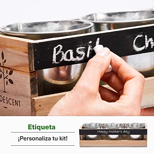 Huerto en Casa / Huerto Interior - Kit de Cultivo Interior - Huerto Domestico Interior - 3 Macetas Reutilizables,Caja Jardinera Madera, Bandeja, Semillas, Pizarra y Tiza -Viridescent