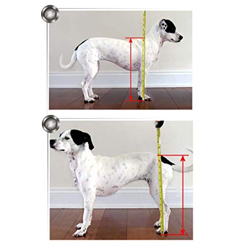 HWhome Soporte Auxiliar Grande Silla De Ruedas Paralizada Perro Discapacitado Aleación De Aluminio Ultra Ligero Implementación Común Fácil De Usar Ajustable, Scooter para Mascotas（6 Tamaños）(Size:S)