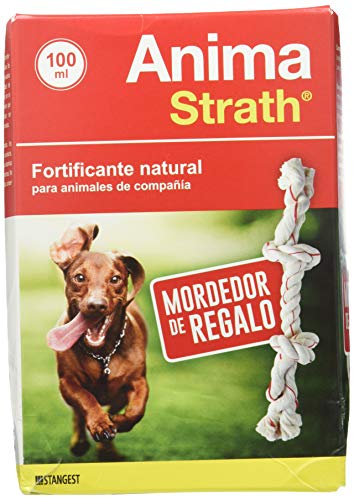 Stangest Anima Strath 100ML + MORDEDOR, Estándar, Único