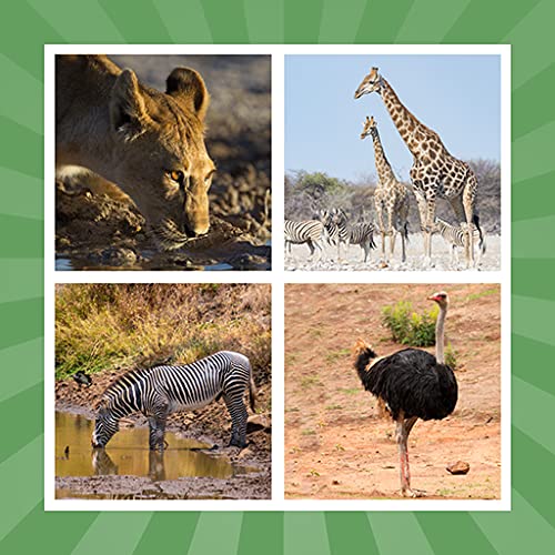 Tarjetas Animales Carakuato. Juego educativo para niños, mayores, ancianos o personas con deterioro cognitivo para aprender o practicar los nombres de los animales, con rompecabezas de palabras.