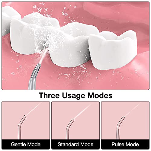 YeenGreen Irrigador Bucal Portátil, Irrigador Oral Eléctrico 220ML, Irrigador Dental Profesional, Water Flosser 4 Boquillas 3 Modos Tanque de Agua Extraíble USB Recargable Impermeable Familia Viajar